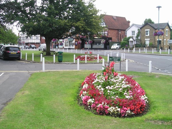 Flowers in the park