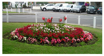 Flowerbeds